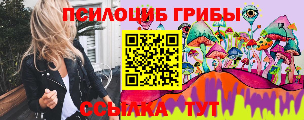 Мелеуз  цены   Вход с VPN  Галлюциногенные грибы GOLDEN TEACHER 